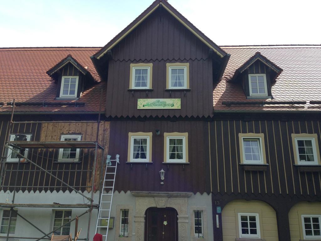 Pension Immergrün Kurort Jonsdorf Exterior foto